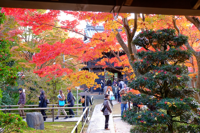 1130源光庵11月-18