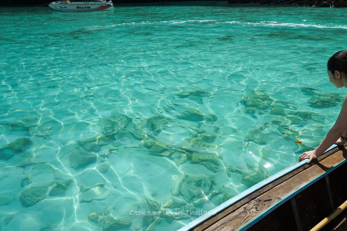 0816MayaBay4月-30
