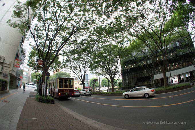 1120-13Sendai