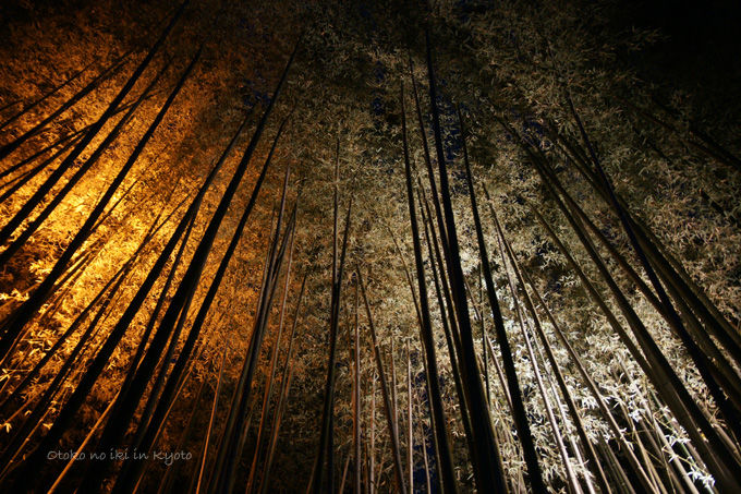 0708-1Íò»³