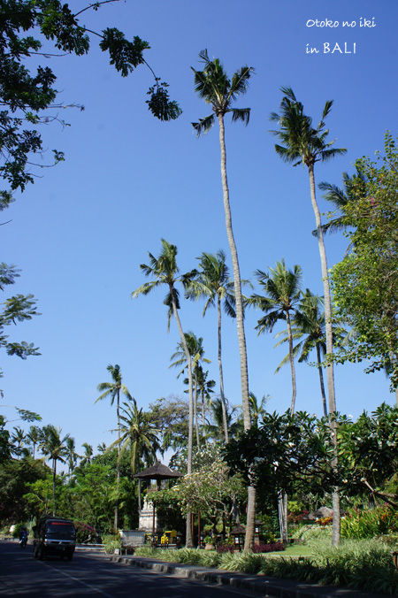 0112-10Sanur