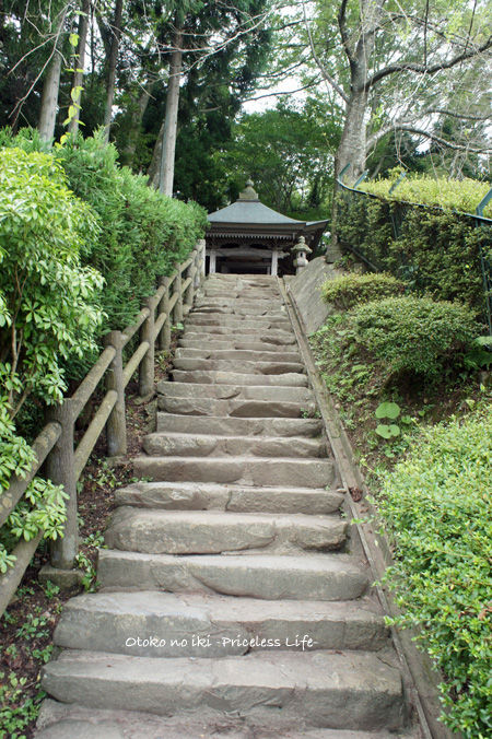 0823-14義経寺