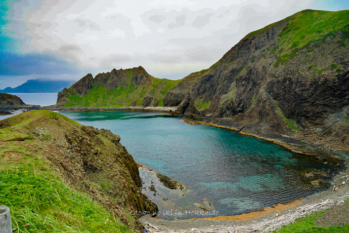 礼文島2019-86