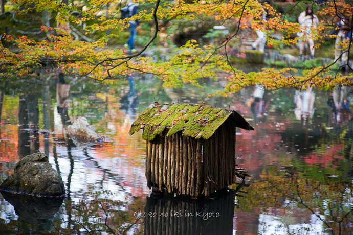 1108京都11月-27