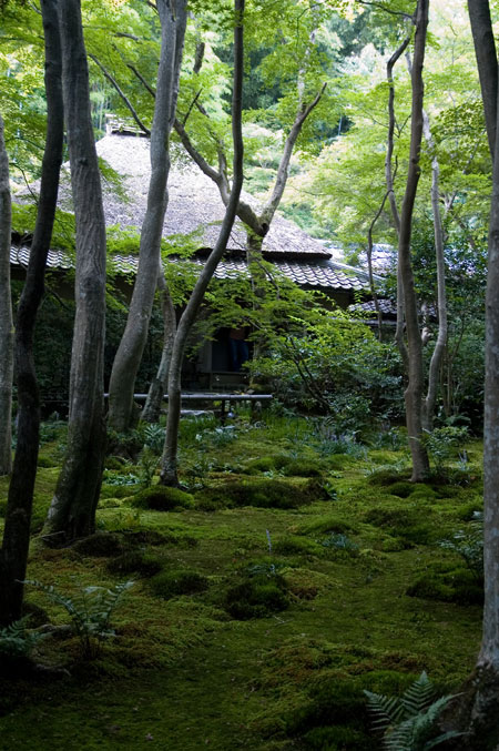 祇王寺