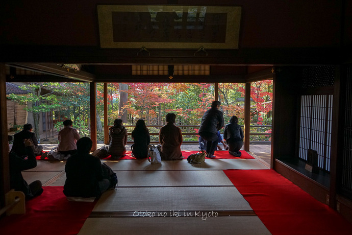 1117妙心寺11月-11