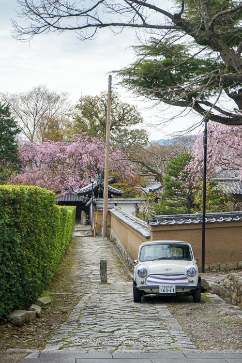 0407京都4月-98