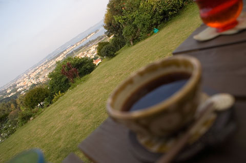 カフェ景色