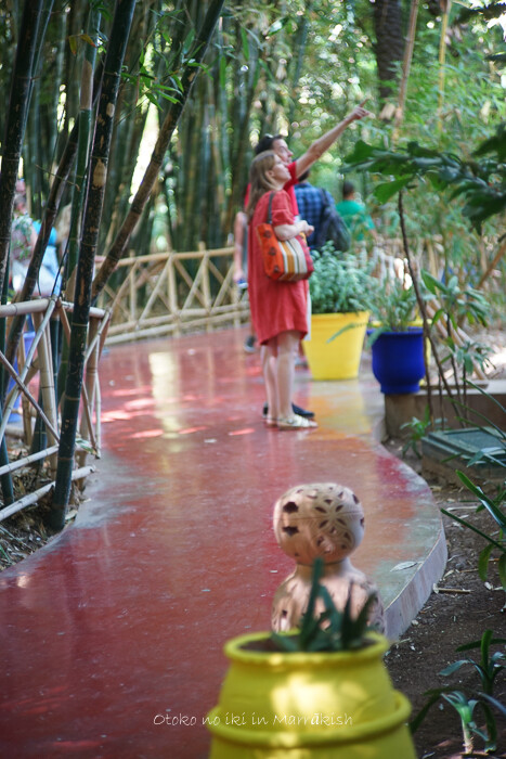 Jardin Majorelle 2017-5