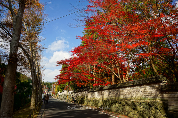 1201KYOTO11月-40