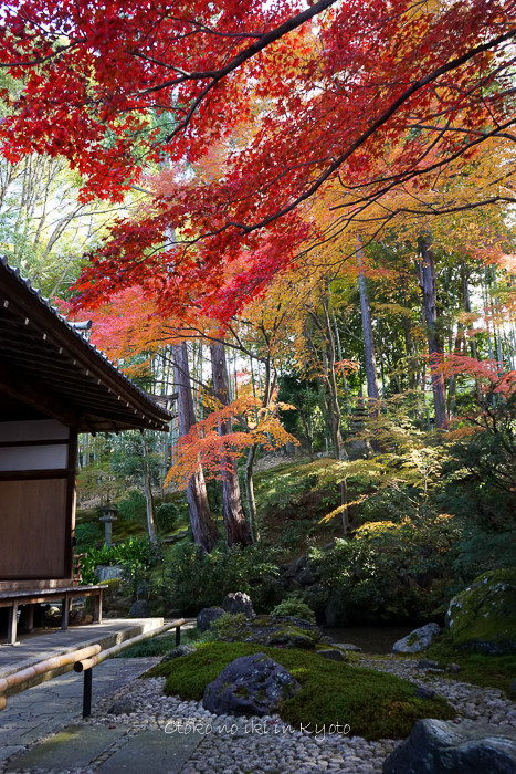 1028栄摂院11月-4