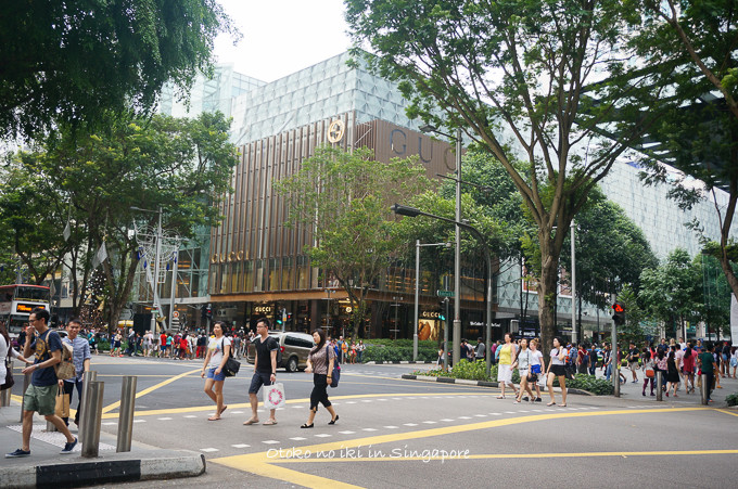 0113Singapore1月-38