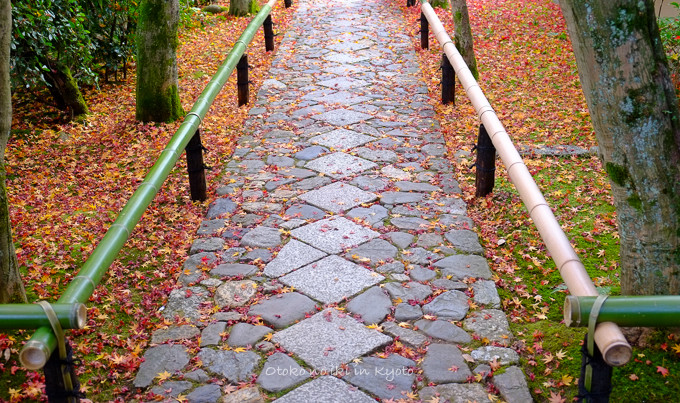 1129光悦寺11月-1