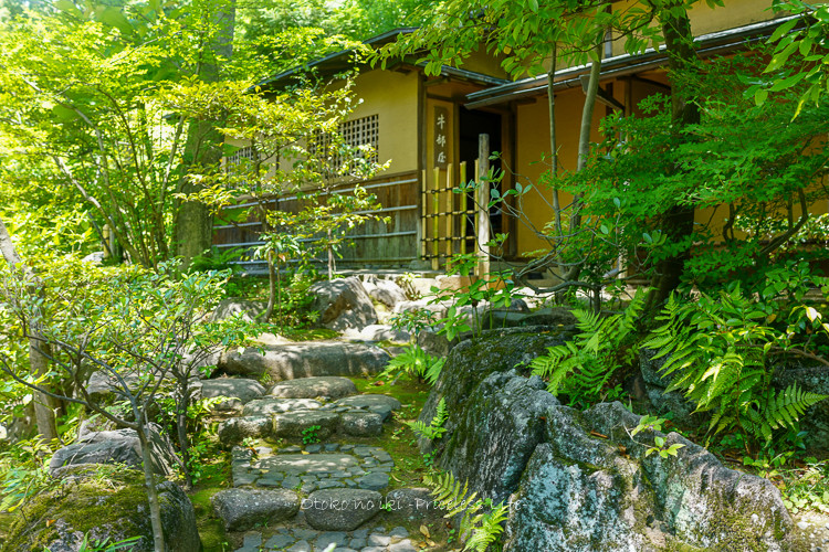 真葛焼のお茶会へ （青山）新緑の根津美術館 : 漢（オトコ）の粋