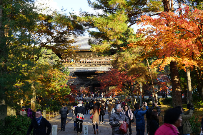 1123京都11月-33
