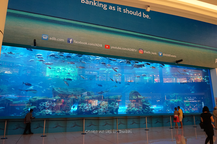 1104Dubai9月-30