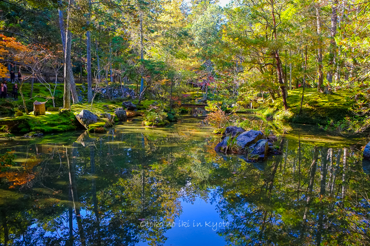 苔寺（京都）苔と紅のアナザーワールド : 漢（オトコ）の粋