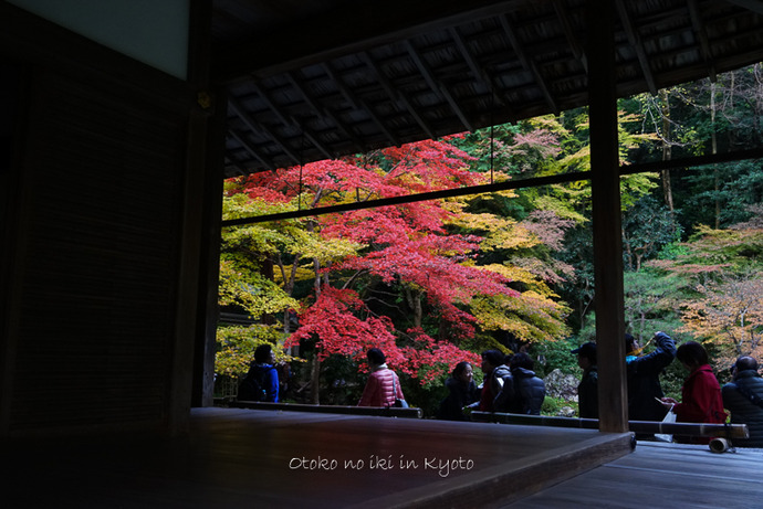 1123京都11月-25