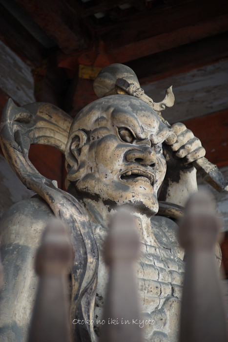 1120仁和寺11月-3