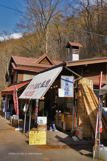 1120-14イワナ