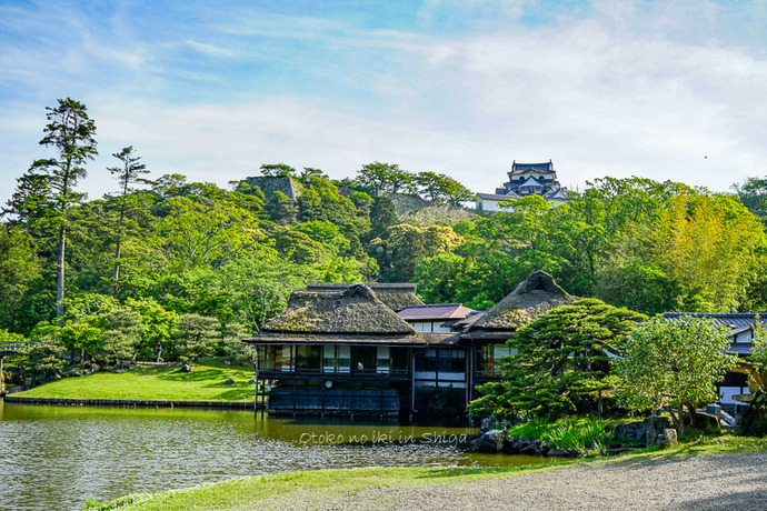 彦根城2019-60