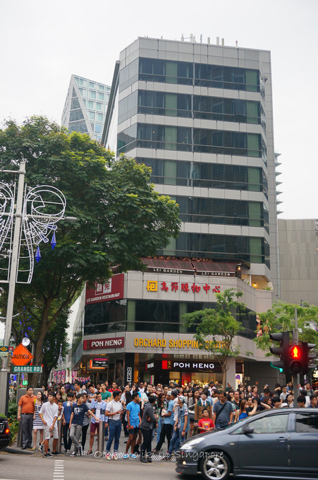 0825SG12月-5