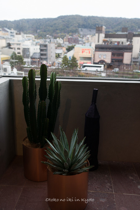 0227Bijuu2月-6
