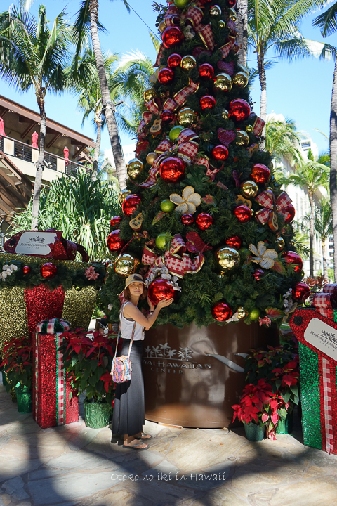 201412_Hawaii12月-16
