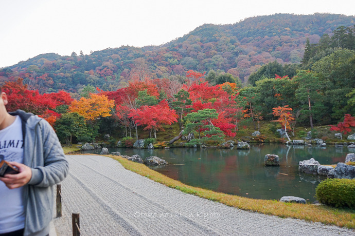1114天龍寺11月-7