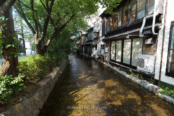0719KYOTO7月-3