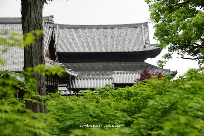 20120501-DSC04639