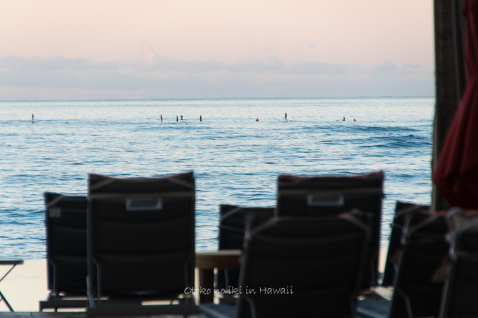 1225Hawaii312月-2