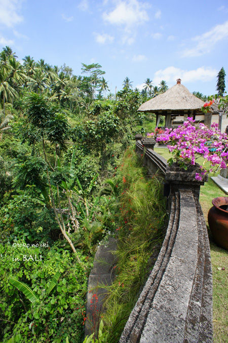 1002-4Bali