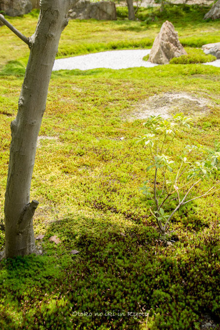20120905高台寺-16