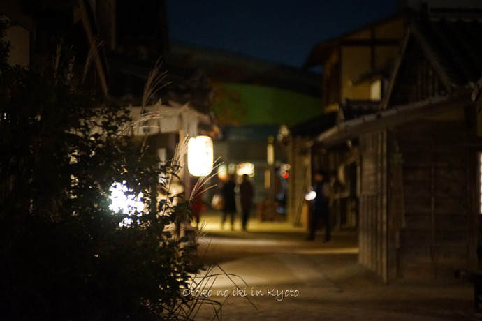1201KYOTO11月-60