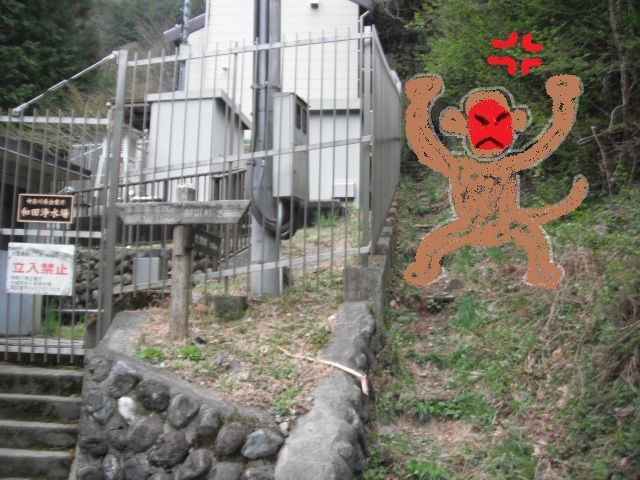 イメージ 6