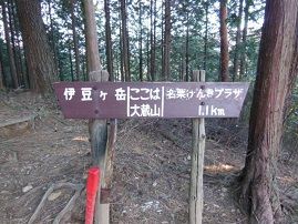 イメージ 12