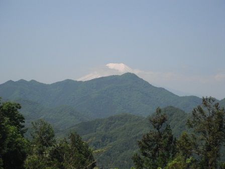 イメージ 15