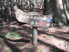 イメージ 7