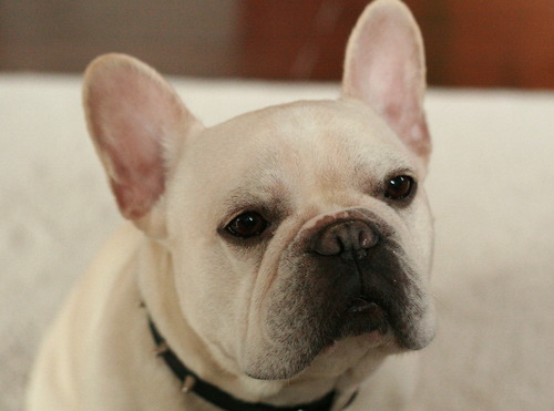 気持ちよかぁ〜