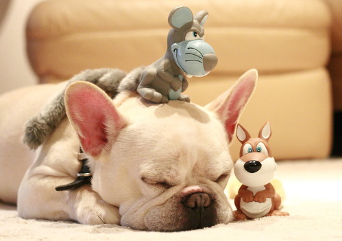 源太丼にならって