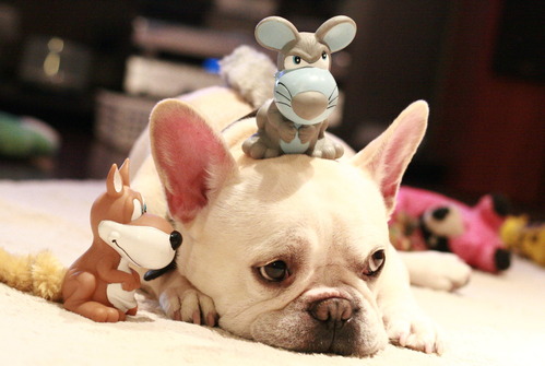 みんなで力を合わせて