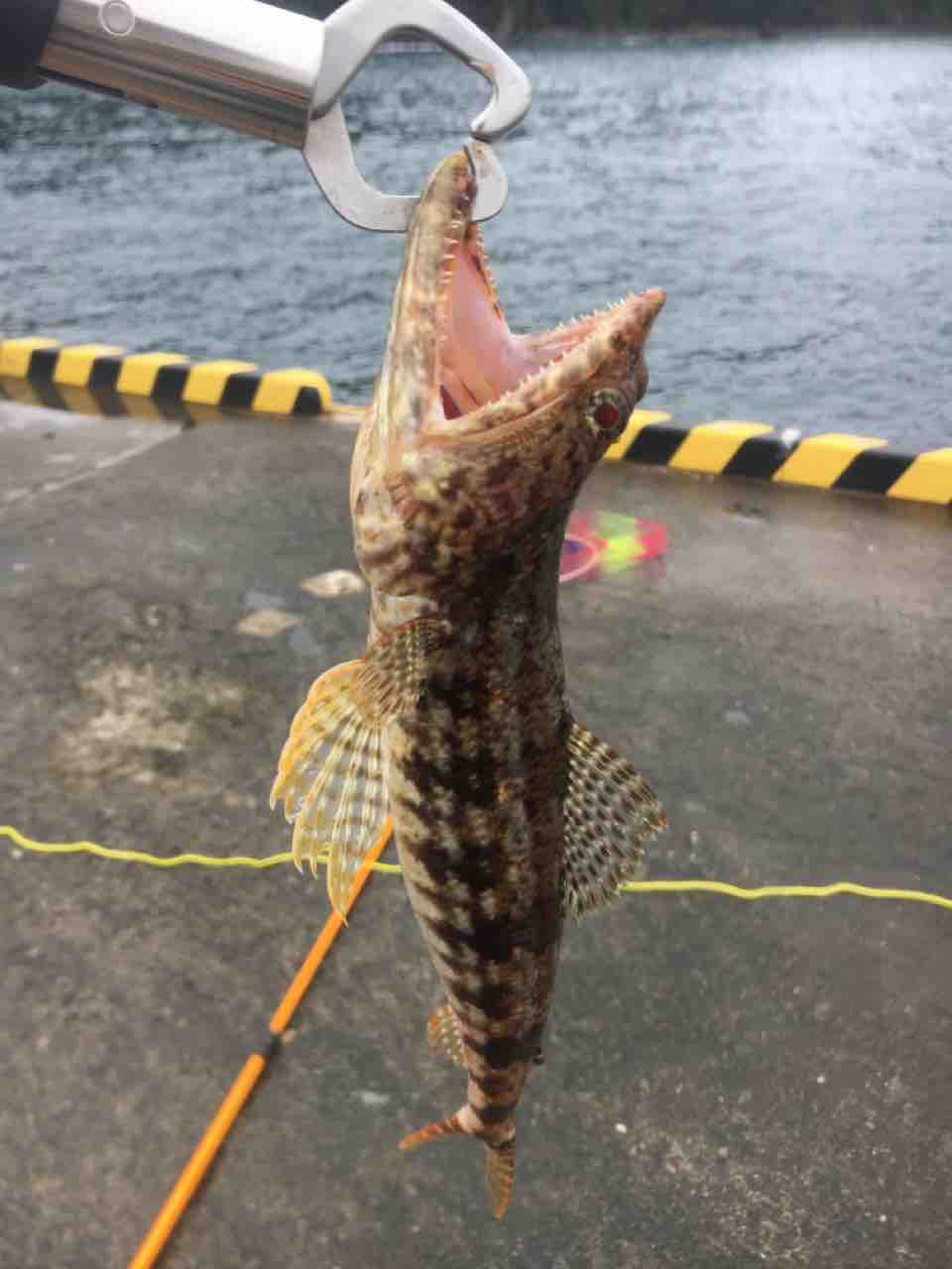 伊豆大島釣行1日目 Ryuのブログ