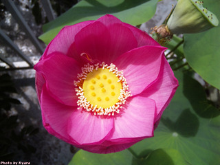 20100811-005
