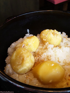 20100307-005