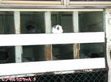 20080221-7
