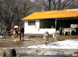 20080221-3