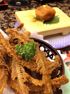 20100207-035
