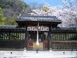 20050415-3