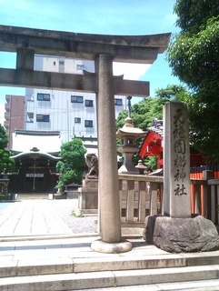 IMAG6868